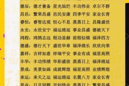 打造属于你的成功名字：从命名到品牌建设