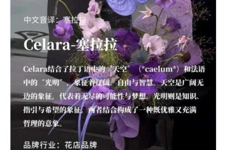 适合花店的名字创意，提升品牌识别度