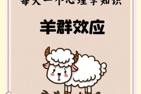 羊陀夹命的命理解析与调解方法