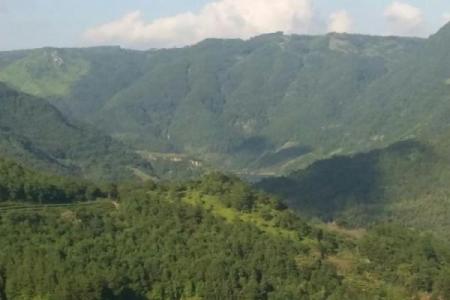 福鼎办公风水选择的五大关键要素解析