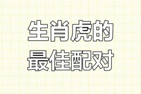 虎男牛女的爱情配对：优缺点解析