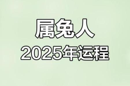 兔年运势大解析：如何迎接属于你的幸运与挑战