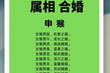 猴与羊相配的婚姻：性格互补与和谐共处的秘诀