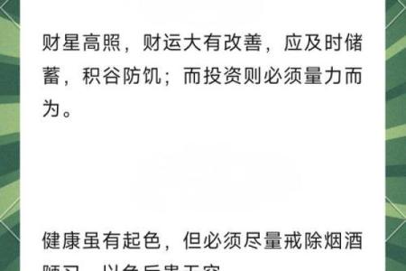 属兔人在本命年适合做哪些重大决策