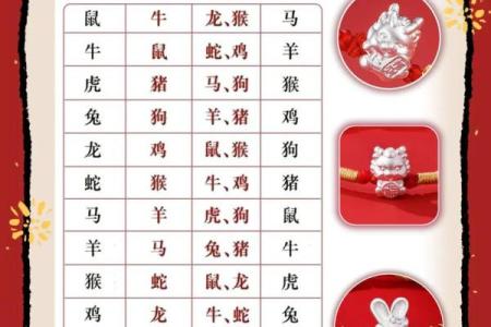 本命年属龙的最佳生活策略