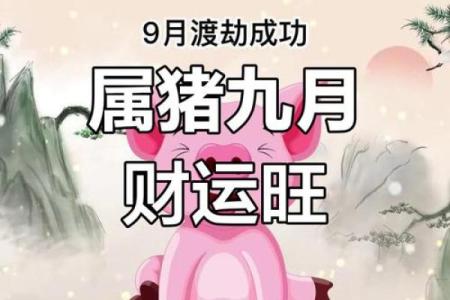 猪年出生者的运势走向与注意事项