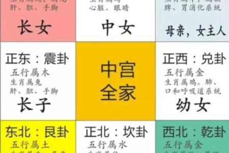 平子五行深度解析：如何利用五行提升个人运势？