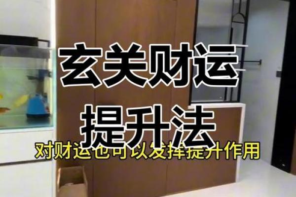 玄关风水布局与财运：招财摆放诀窍
