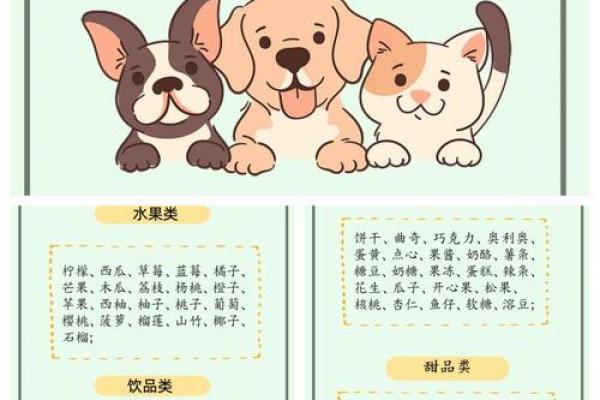 为小狗取名字的十个实用建议 为小狗取名字的十个实用建议