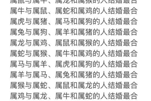 鼠和狗的生肖配对解析:是否能和谐共处? 鼠和狗的生肖配对解析:是否能和谐共处?
