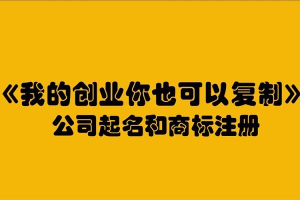 免费公司起名软件能为创业者提供哪些帮助