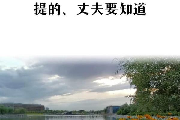 甲子年出生的女性离婚后,人生将面临哪些关键选择 甲子年出生的女性离婚后,人生将面临哪些关键选择