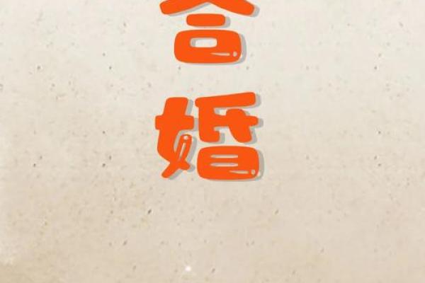 八字合婚:通过命理找到最适合的二婚伴侣 八字合婚:通过命理找到最适合的二婚伴侣