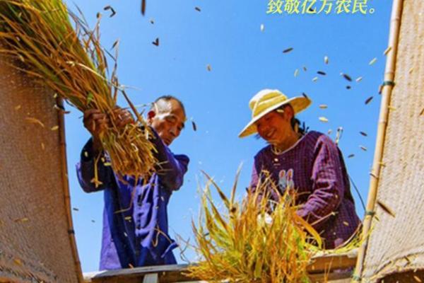 揭秘农历二月节气的农事活动,助力全年丰收 揭秘农历二月节气的农事活动,助力全年丰收
