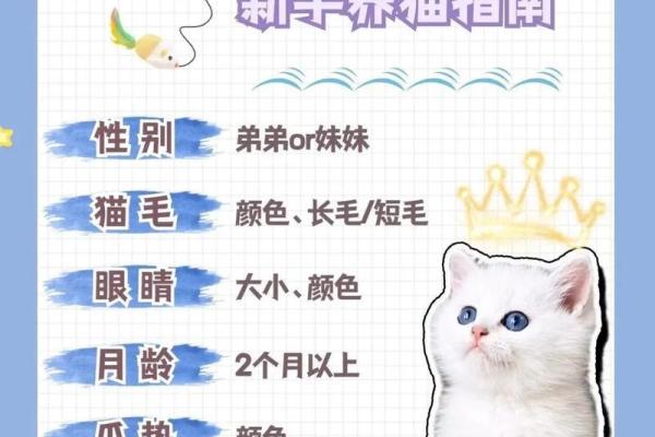 从性格到外观：挑选白猫名字的技巧