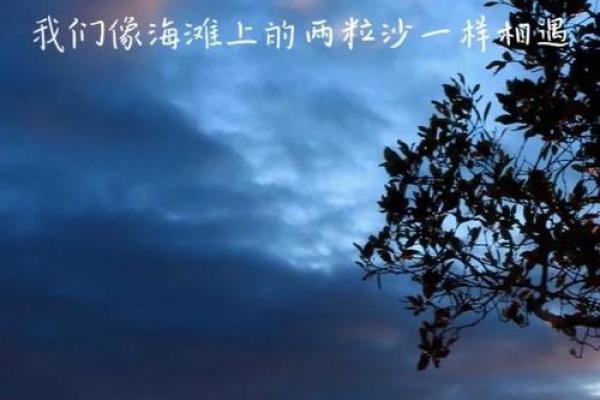 带海名字的流行趋势与文化背景