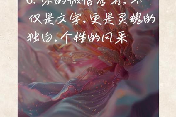 两字名字，彰显个性与品味