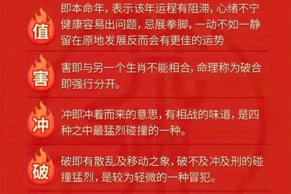 本命年属马如何化解家庭矛盾