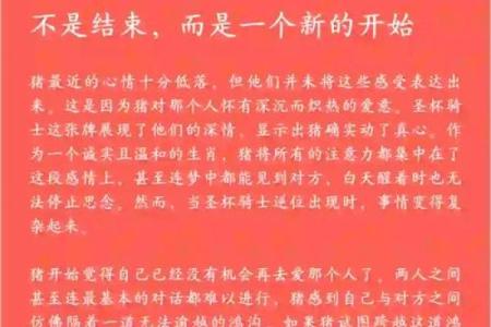 属猪运势波动解析：如何化解困难迎接机遇
