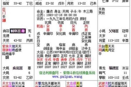 紫薇命格的深度解析与人生指引