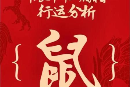 属鼠人整体运势预测：成功与机遇并存