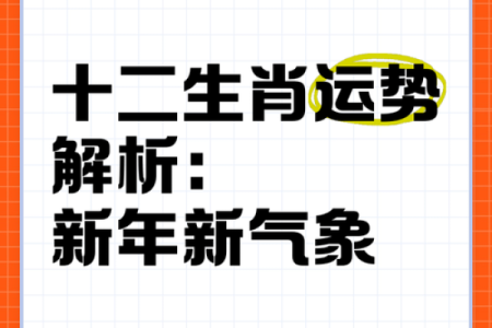 每日生肖运程：掌握幸运与挑战