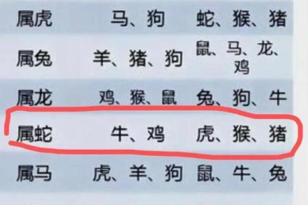 鸡男蛇女相配的优缺点解析