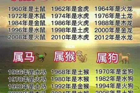 生肖五行揭秘：你属什么，五行运势如何影响你？