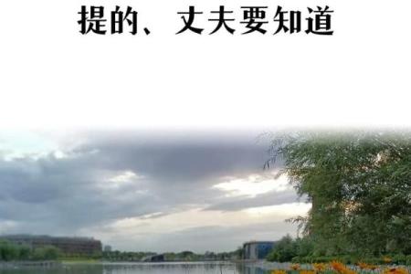 甲子年出生的女性离婚后，人生将面临哪些关键选择
