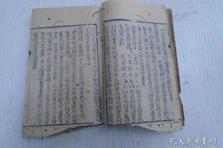 武命：历史与命运的交织之谜