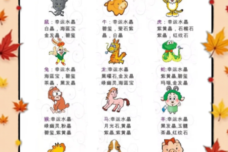 适合享受和牛的属相选择