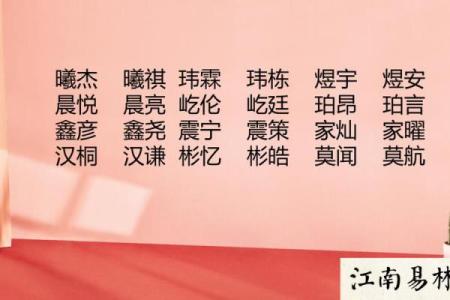 双胞胎名字如何根据生辰八字挑选，专家教你一步步来
