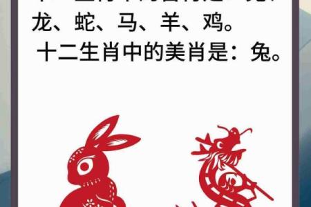 兔与蛇生肖配对的优缺点分析