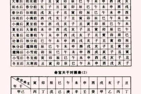 右命的概念解析与应用探讨