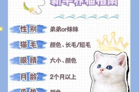从性格到外观：挑选白猫名字的技巧