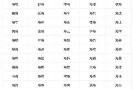 带海名字的流行趋势与文化背景