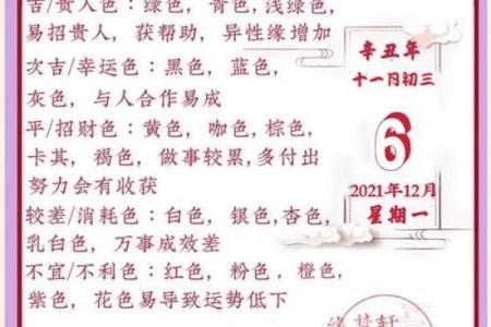 本命年马女如何度过挑战期