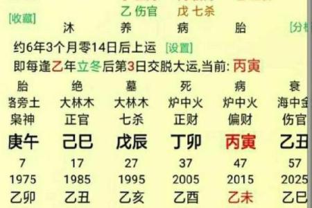 解读女性生辰八字中的财运与事业发展