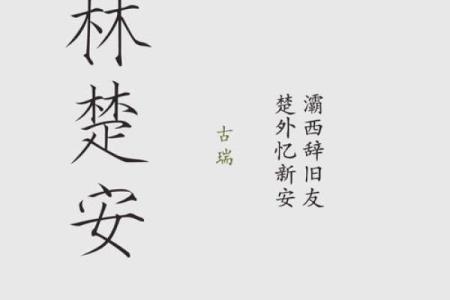 从音韵到寓意：音文名字的艺术之道