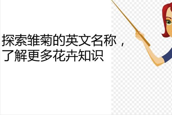 全球花卉英文名汇总与介绍