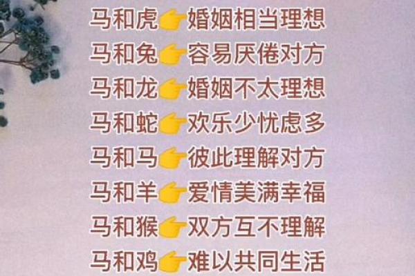 属马女与属牛男的婚姻匹配度如何