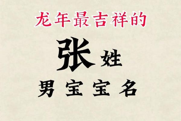 张姓男孩起名技巧与推荐：名字寓意与音韵搭配分析