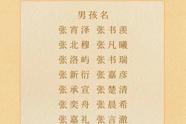 张姓男孩起名技巧与推荐：名字寓意与音韵搭配分析