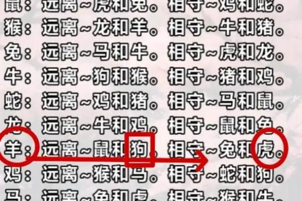 属狗男与属猴女的相处模式探讨