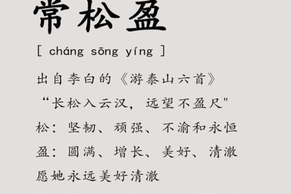 解析伟字在名字中的文化内涵与选择策略