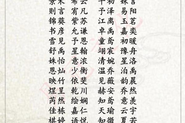 霸气男孩名字大全：彰显力量与独特魅力的精选之选
