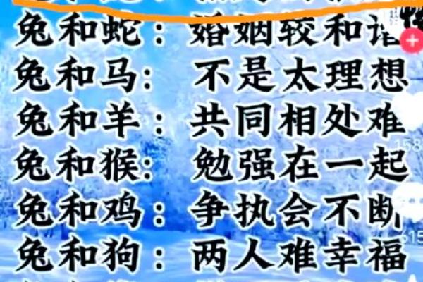属兔女与属虎男配对的优势与挑战