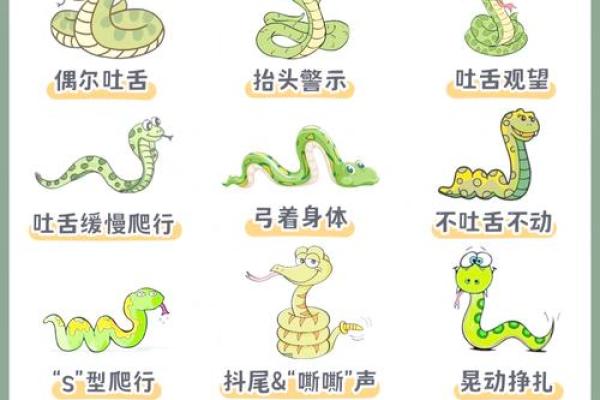 男狗女蛇配对是否合适分析