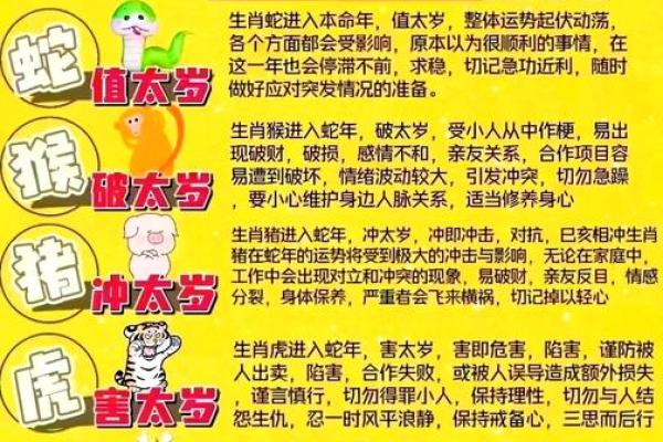 属猪和属羊的婚姻运势如何