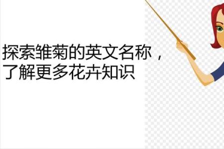 全球花卉英文名汇总与介绍